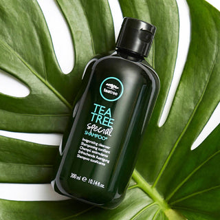 Tea Tree Shampoo
