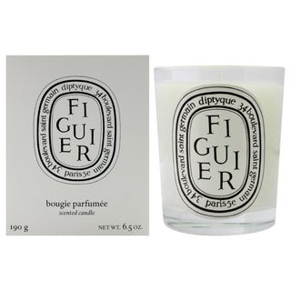 Diptyque Figuier Scented Candle for Unisex - 6.5 oz Candle
