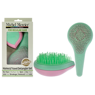 Michel Mercier Home and Travel Detangler Set - 2 Pc Classic and Travel Detangler Brushes for Regular Hair - Unisex
