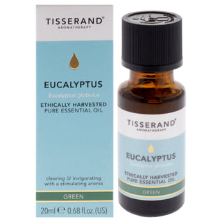 Ethically Harvested Pure Essential Oil - Eucalyptus by Tisserand for Unisex - 0.68 oz Oil