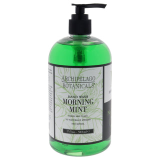 Archipelago Botanicals Morning Mint Hand Wash - Refreshing 17 oz Hand Wash for All Genders