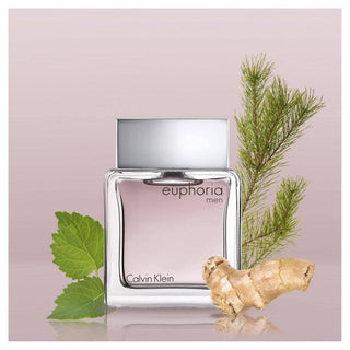 Euphoria by Calvin Klein for Men - 3.3 oz EDT Spray