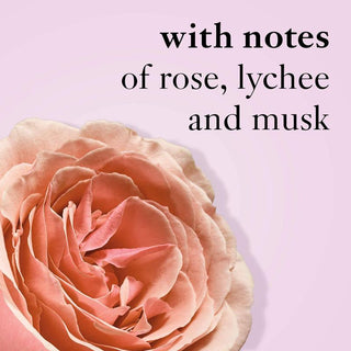 PHILOSOPHY AMAZING GRACE BALLET ROSE 4 OZ EAU DE TOILETTE SPRAY FOR WOMEN