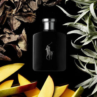 Polo Black by Ralph Lauren Eau De Toilette For Men, 75ml