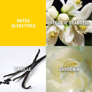 Giorgio Beverly Hills Eau de Toilette (90ml) Floral, Oriental &amp; Fresh Scent, Luxury Fragrance, Perfume for Women