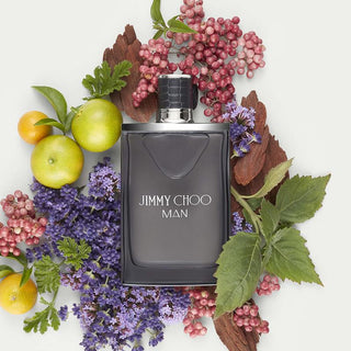Jimmy Choo Man by Jimmy Choo for Men - 6.7 oz EDT Spray