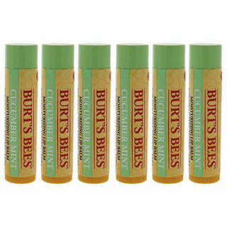 Cucumber Mint Moisturizing Lip Balm by Burts Bees for Women - 0.15 oz Lip Balm - Pack of 6