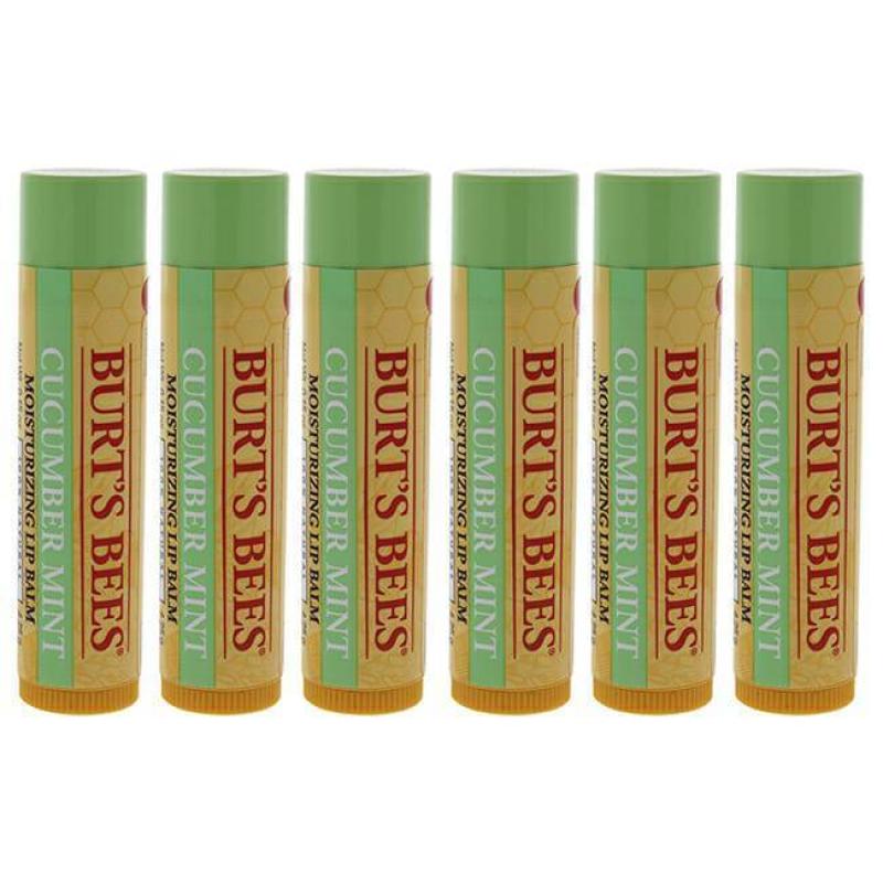 Cucumber Mint Moisturizing Lip Balm by Burts Bees for Women - 0.15 oz Lip Balm - Pack of 6