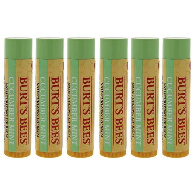 Cucumber Mint Moisturizing Lip Balm by Burts Bees for Women - 0.15 oz Lip Balm - Pack of 6