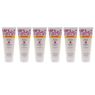Renewal Refining Cleanser by Burts Bees for Unisex - 6 oz Cleanser - Pack of 6
