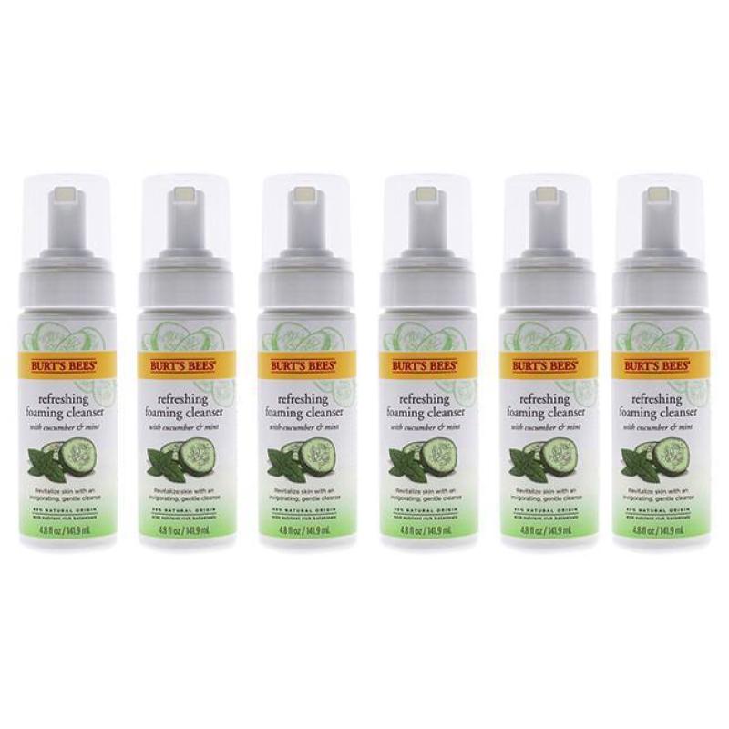 Refreshing Foaming Cleanser - Cucumber-Mint by Burts Bees for Unisex - 4.8 oz Cleanser - Pack of 6