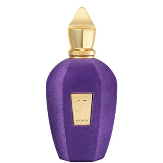 Xerjoff Accento Unisex  EDP for Men and Women 1.7oz-50ml